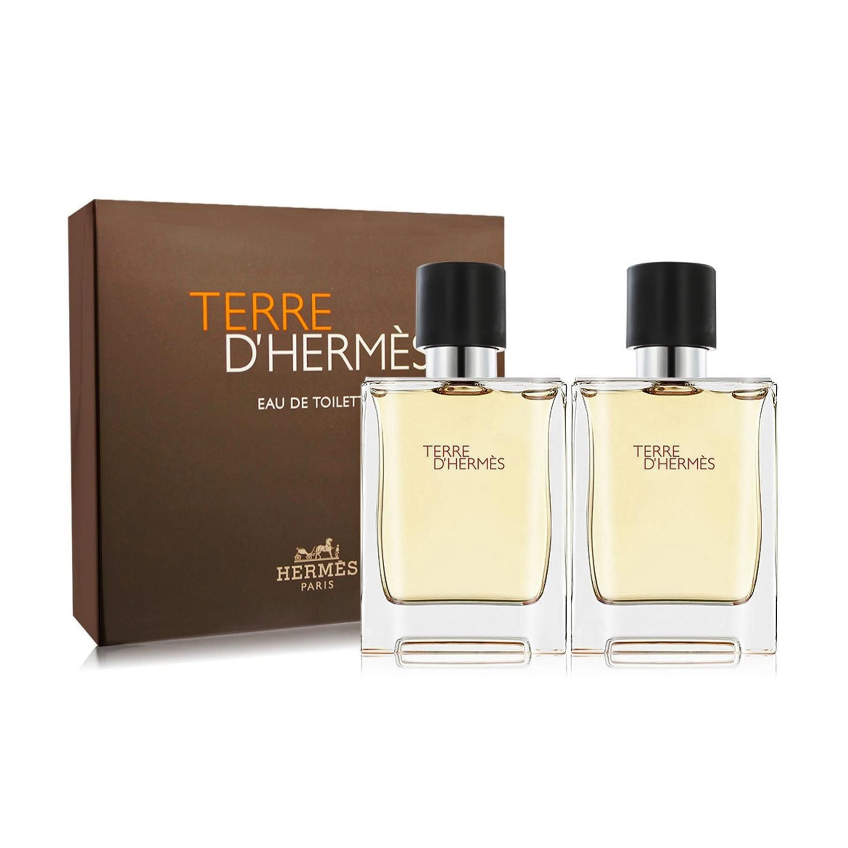 Парфумований набір чоловічий Hermes Terre d'Hermes (туалетна вода, 50 мл + туалетна вода, 50 мл)